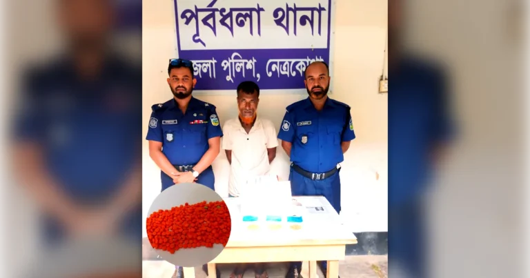 পূর্বধলায় ৪৫০ পিস ইয়াবাসহ মাদক কারবারি সবুজ গ্রেফতার; বাজার মূল্য প্রায় দেড় লক্ষ টাকা