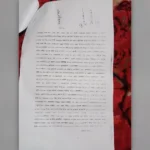 পূর্বধলায় বিএনপির ২৯ নেতাকর্মীর বিরুদ্ধে আদালতে মামলা; হামলা, ভাঙচুর ও লুটপাটের অভিযোগ